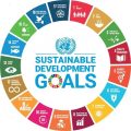 Certificate by Sustainable development goals